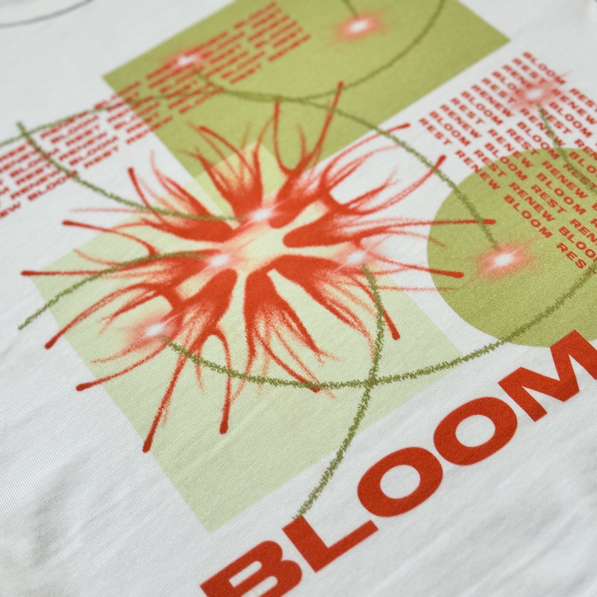 Butterfly Bloom